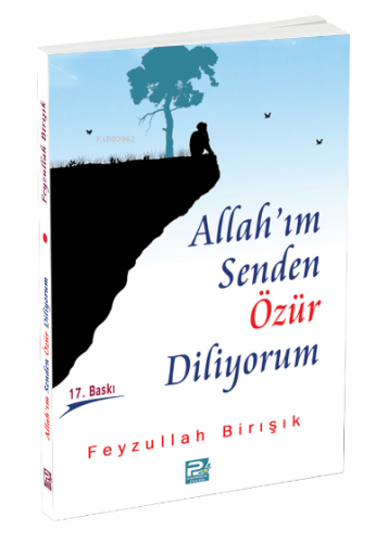 Allah'ım Senden Özür Diliyorum Feyzullah Birışık