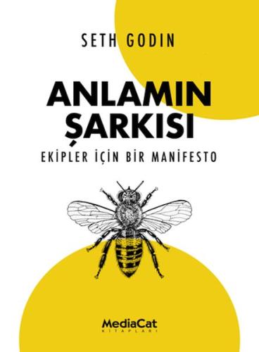 Anlamın Şarkısı Seth Godin