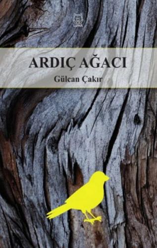 Ardıç Ağacı Gülcan Çakır