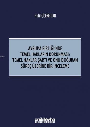 Avrupa Birliği'nde Temel Hakların Korunması:Temel Haklar Şartı ve Onu 