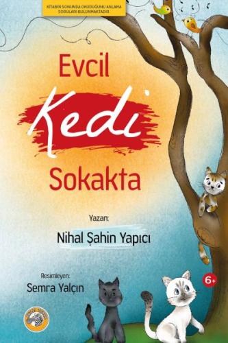 Evcil Kedi Sokakta Nihal Şahin Yapıcı