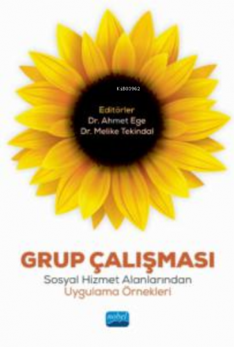 Grup Çalışması: Sosyal Hizmet Alanlarından Uygulama Örnekleri Kolektif