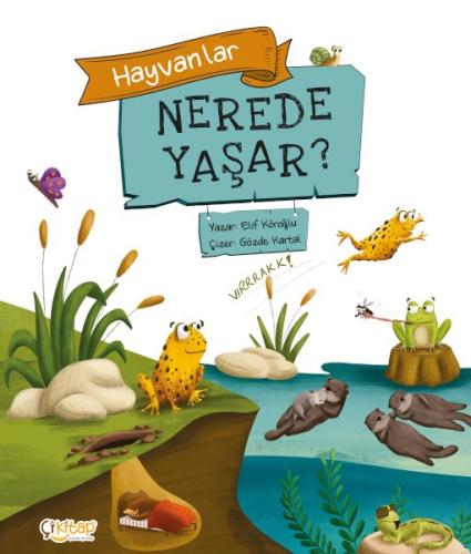 Hayvanlar Nerede Yaşar ? Elif Köroğlu