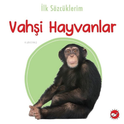 İlk Sözcüklerim -Vahşi Hayvanlar Kolektif