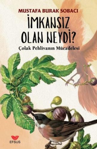 İmkansız Olan Neydi Mustafa Burak Sobacı