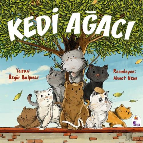 Kedi Ağacı Özgür Balpınar