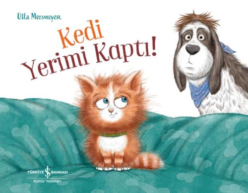 Kedi Yerimi Kaptı! Ulla Mersmeyer