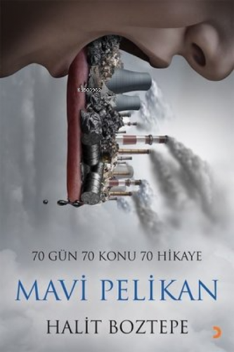 Mavi Pelikan Halit Boztepe