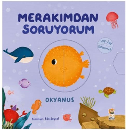 Merakımdan Soruyorum - Okyanus Kolektif