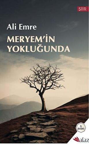 Meryem'in Yokluğunda Ali Emre