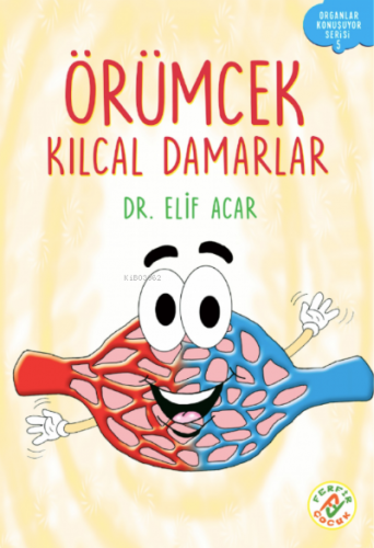 Örümcek Kılcal Damarlar Elif Acar