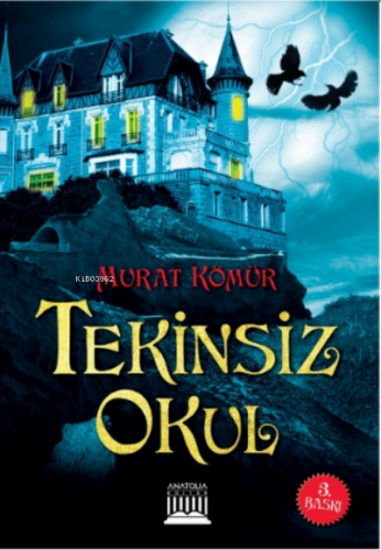 Tekinsiz Okul Murat Kömür