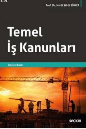 Temel İş Kanunları Haluk Hadi Sümer