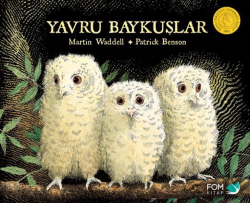 Yavru Baykuşlar Martin Waddell