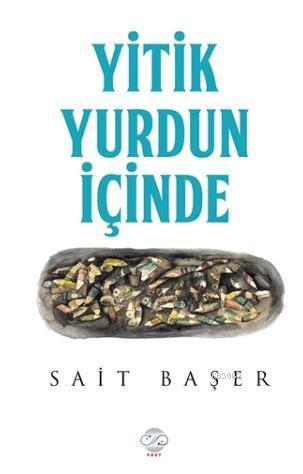 Yitik Yurdun İçinde Sait Başer