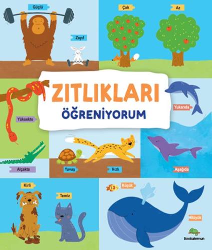 Zıtlıkları Öğreniyorum – Ciltli Kollektif